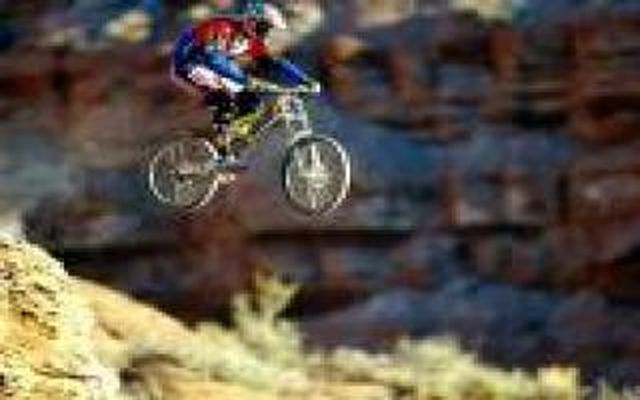 Mountain bike
In Agriturismo è possibile noleggiare Mountain bike professionali dove è possibile ...