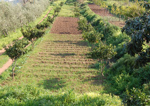 Farm Holiday Santa Margherita